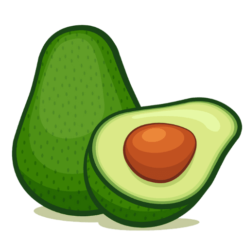 Avocado illustration